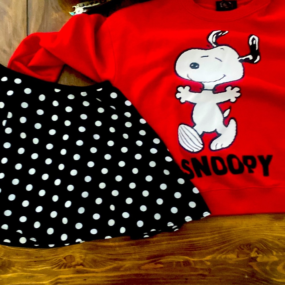 2 pack sweater and skirt going for $11